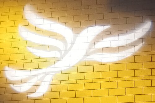 Lib Dem logo bird projected on blockwork